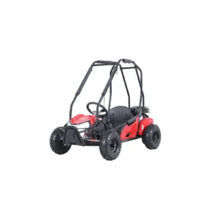 Coleman Powersports GK100 One-Seater Go Karts