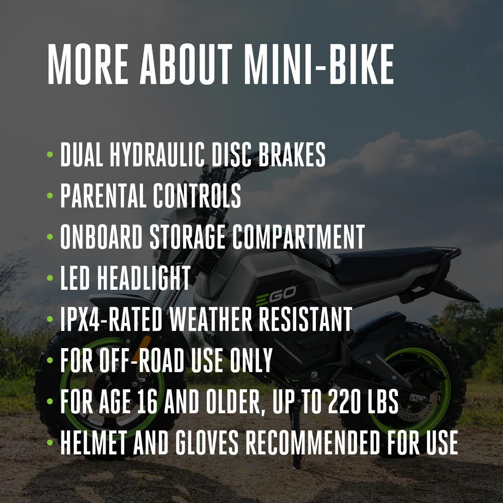 Electric Mini Bike - Image 5