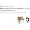 Ideal Pet Products Aluminum Sash Window Pet Door, Adjustable to Fit Window Widths from 33" to 38", Large 10-1/2” x 15” Flap Size - Image 3