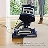 Shark Upright Vacuum, Navigator Lift-Away Deluxe with Large Dust Cup Capacity, HEPA Filter, Swivel Steering, Upholstery Tool & Crevice Tool, Blue, NV360 - Image 5