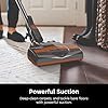 Shark Rocket Ultra-Light Corded Bagless Vacuum for Carpet and Hard Floor Cleaning with Swivel Steering (HV301), Gray/Orange - Image 5