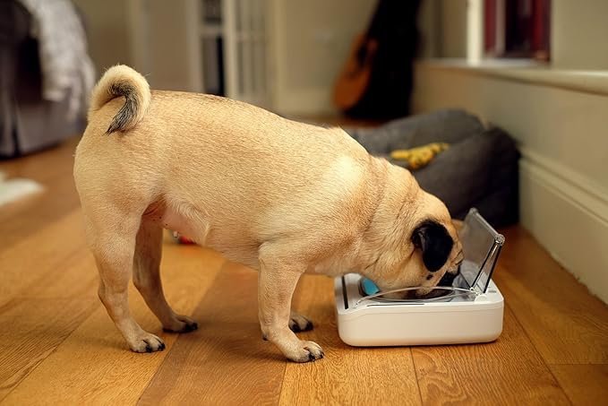 Sure Petcare - SureFeed - Motion Activated Sealed Pet Bowl - NOT Microchip Activated - Image 2