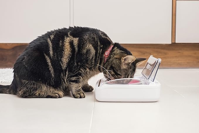Sure Petcare - SureFeed - Motion Activated Sealed Pet Bowl - NOT Microchip Activated - Image 4