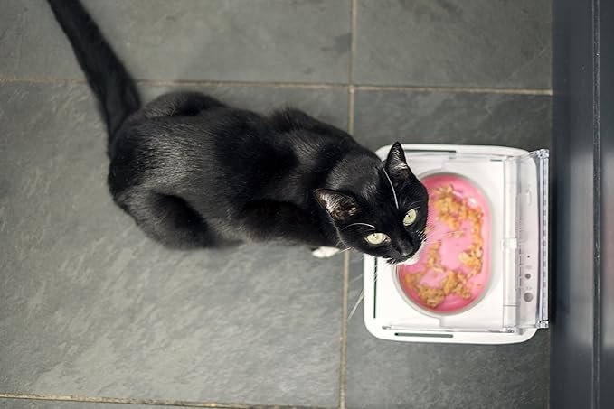 Sure Petcare - SureFeed - Motion Activated Sealed Pet Bowl - NOT Microchip Activated - Image 3