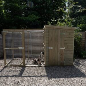 Large Dog Kennel & Run