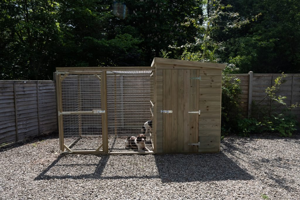 Large Dog Kennel & Run