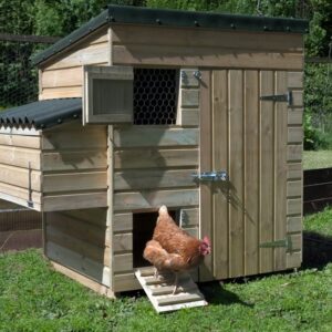 Large Hen House