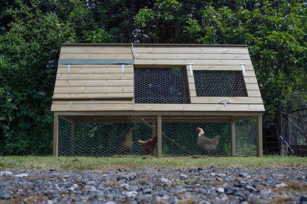 Large Raised Chicken Coop - Image 2