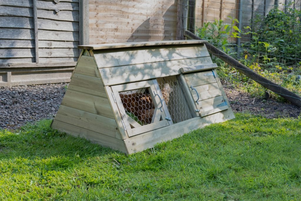 Small Starter Coop