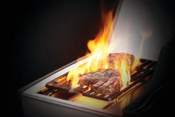 Napoleon Rogue SE 425 Gas Grills - Image 2
